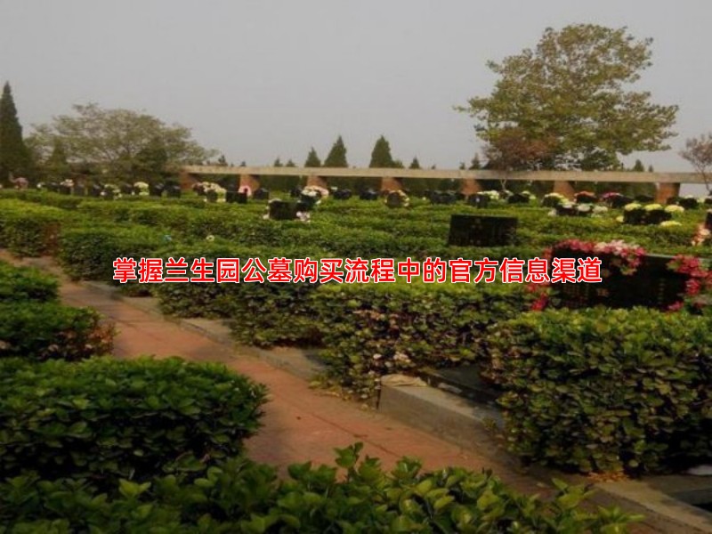 掌握兰生园公墓购买流程中的官方信息渠道