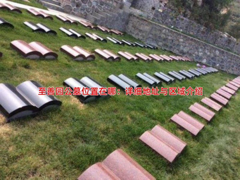 至善园公墓位置在哪：详细地址与区域介绍