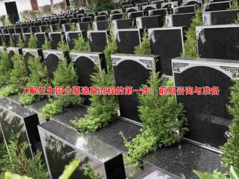 了解兰生园公墓选墓流程的步：前期咨询与准备