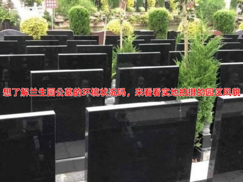 想了解兰生园公墓的环境状况吗，来看看实地拍摄的园区风貌