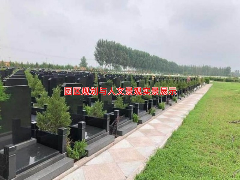 园区规划与人文景观实景展示