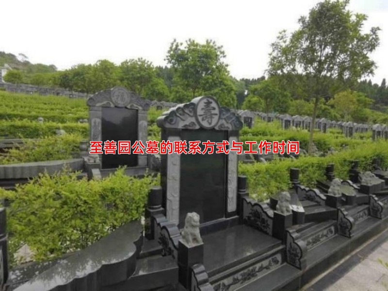 至善园公墓的联系方式与工作时间