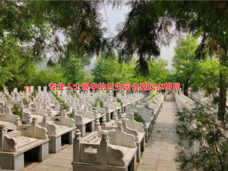 专业人士眼中的兰生园公墓风水格局