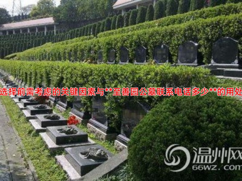 选择前需考虑的关键因素与**至善园公墓联系电话多少**的用处
