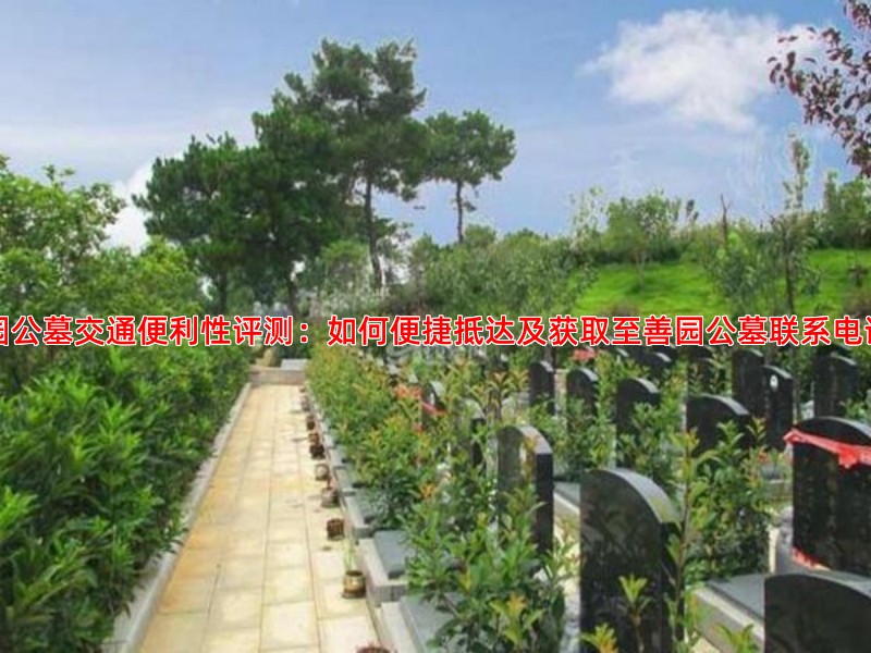 至善园公墓交通便利性评测：如何便捷抵达及获取至善园公墓联系电话多少