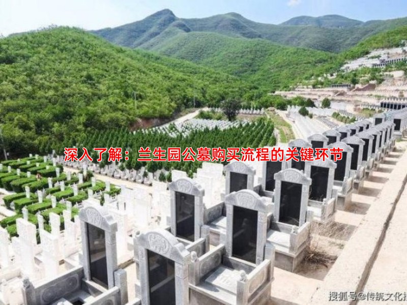 深入了解：兰生园公墓购买流程的关键环节