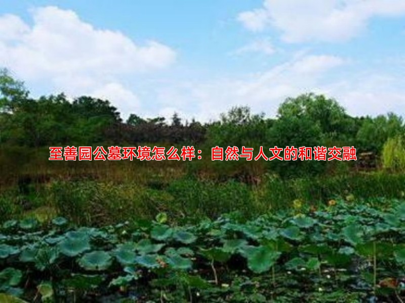至善园公墓环境怎么样：自然与人文的和谐交融