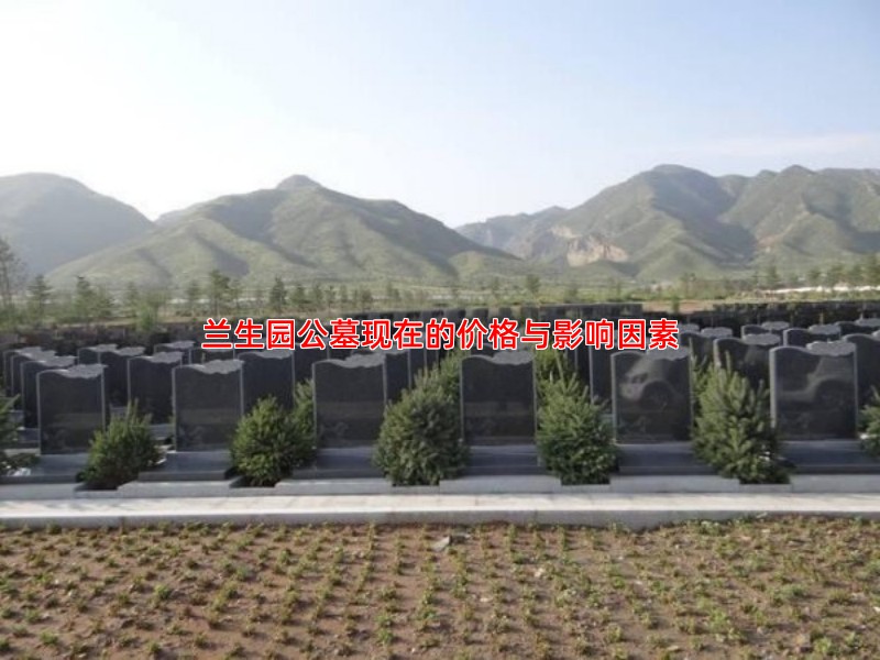 兰生园公墓现在的价格与影响因素