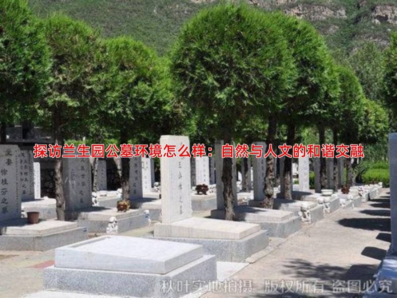 探访兰生园公墓环境怎么样：自然与人文的和谐交融