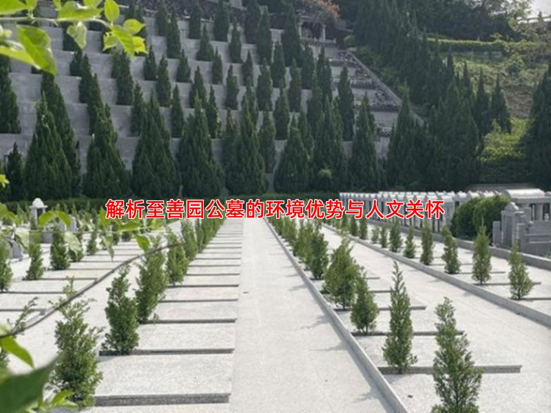 解析至善园公墓的环境优势与人文关怀