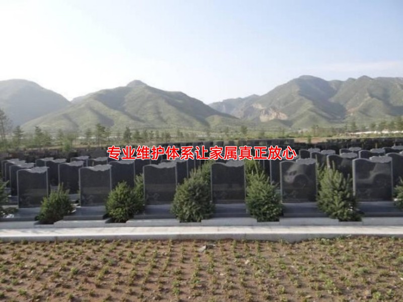专业维护体系让家属真正放心