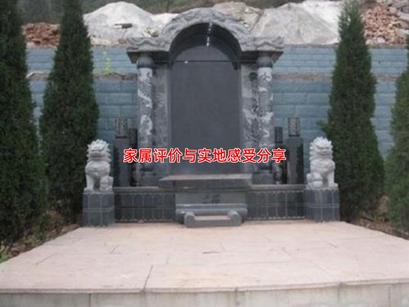 家属评价与实地感受分享