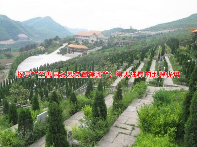 探寻**至善园公墓位置在哪**：得天独厚的地理优势
