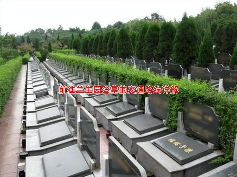 前往兰生园公墓的交通路线详解