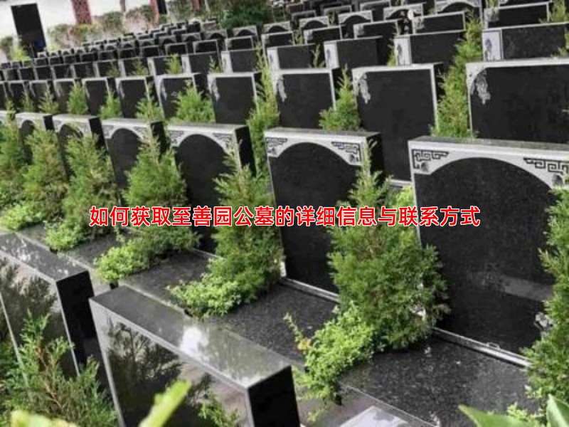 如何获取至善园公墓的详细信息与联系方式