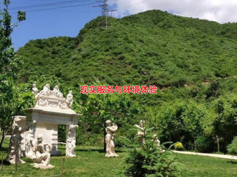 现实服务与环境体验