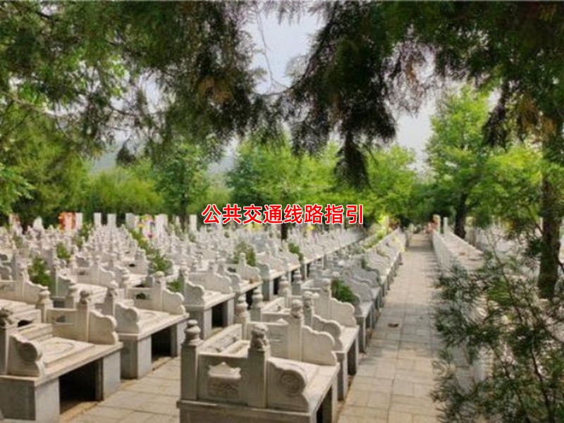 公共交通线路指引