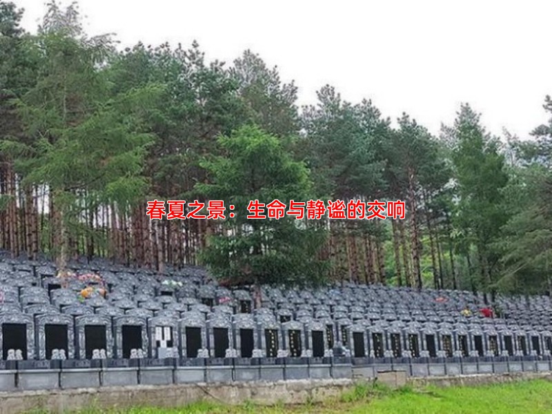 春夏之景：生命与静谧的交响