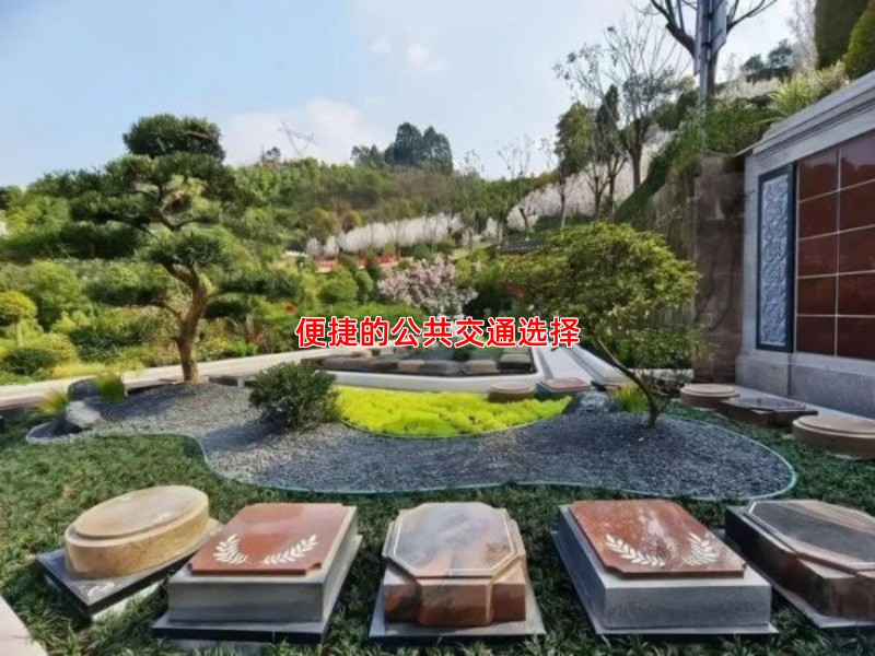 便捷的公共交通选择