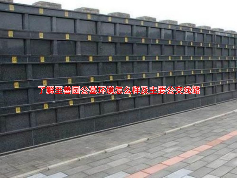 了解至善园公墓环境怎么样及主要公交线路