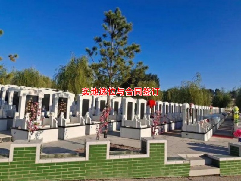 实地选位与合同签订