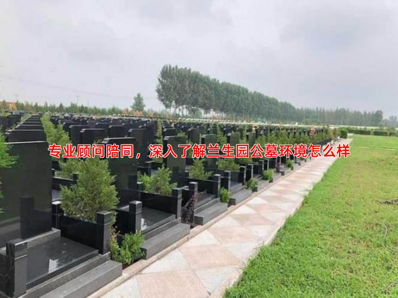 专业顾问陪同，深入了解兰生园公墓环境怎么样