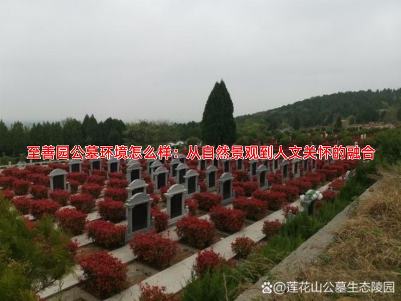 至善园公墓环境怎么样：从自然景观到人文关怀的融合