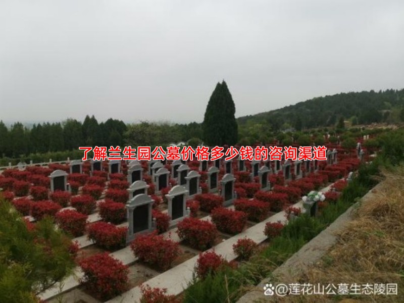 了解兰生园公墓价格多少钱的咨询渠道