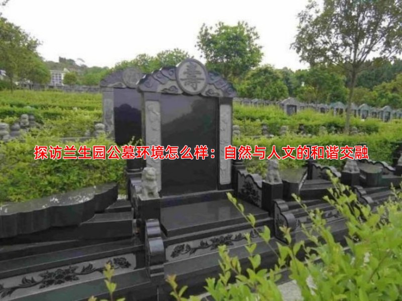 探访兰生园公墓环境怎么样：自然与人文的和谐交融