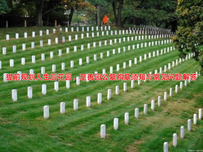 提前规划人生后花园，至善园公墓购墓须知与常见问题解答