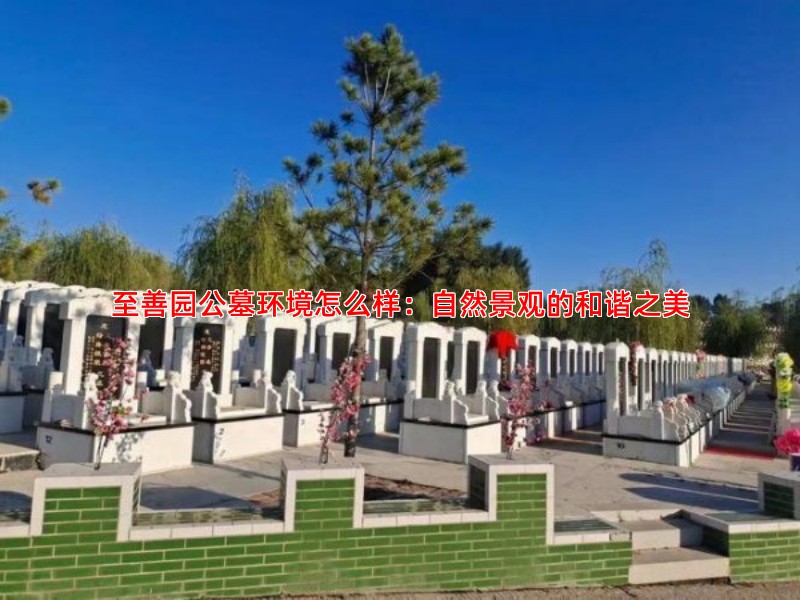 至善园公墓环境怎么样：自然景观的和谐之美