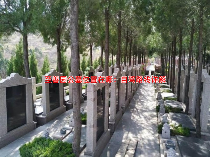 至善园公墓位置在哪：自驾路线详解
