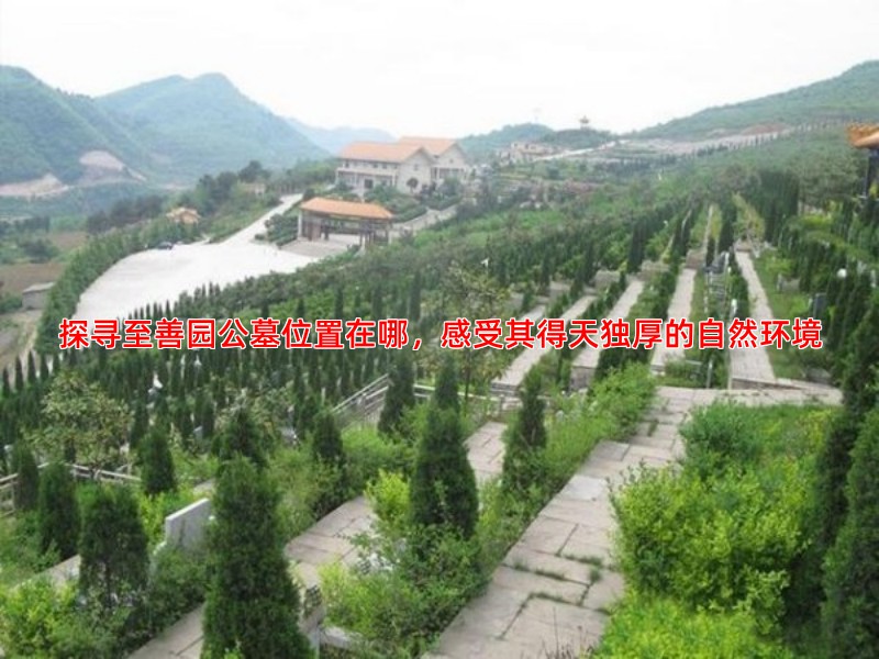 探寻至善园公墓位置在哪，感受其得天独厚的自然环境