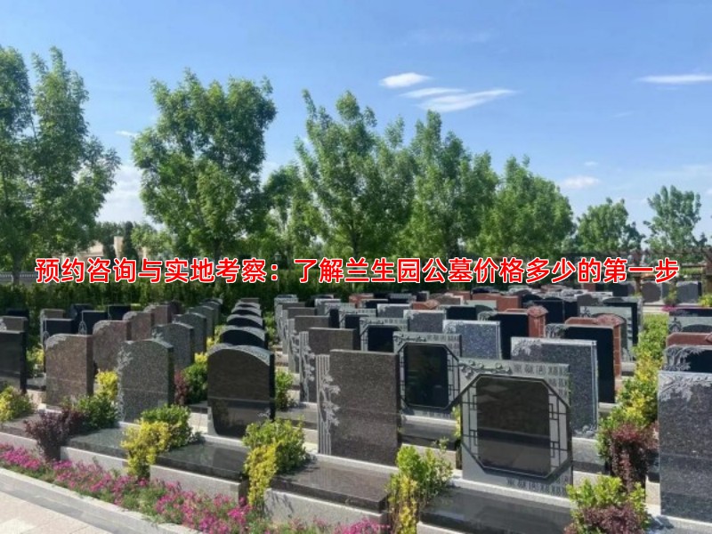 预约咨询与实地考察：了解兰生园公墓价格多少的步
