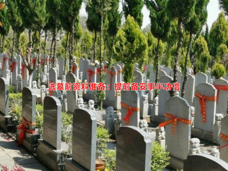 选墓前资料准备：提前备妥事半功倍