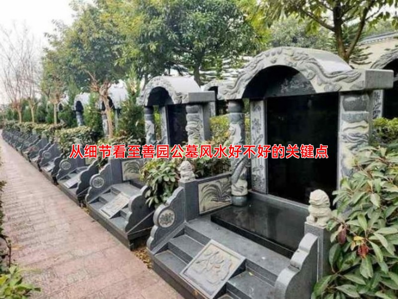 从细节看至善园公墓风水好不好的关键点