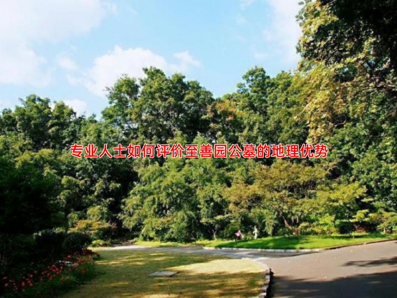 专业人士如何评价至善园公墓的地理优势