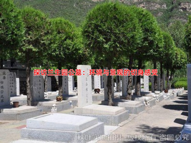 探访兰生园公墓：环境与景观的切身感受