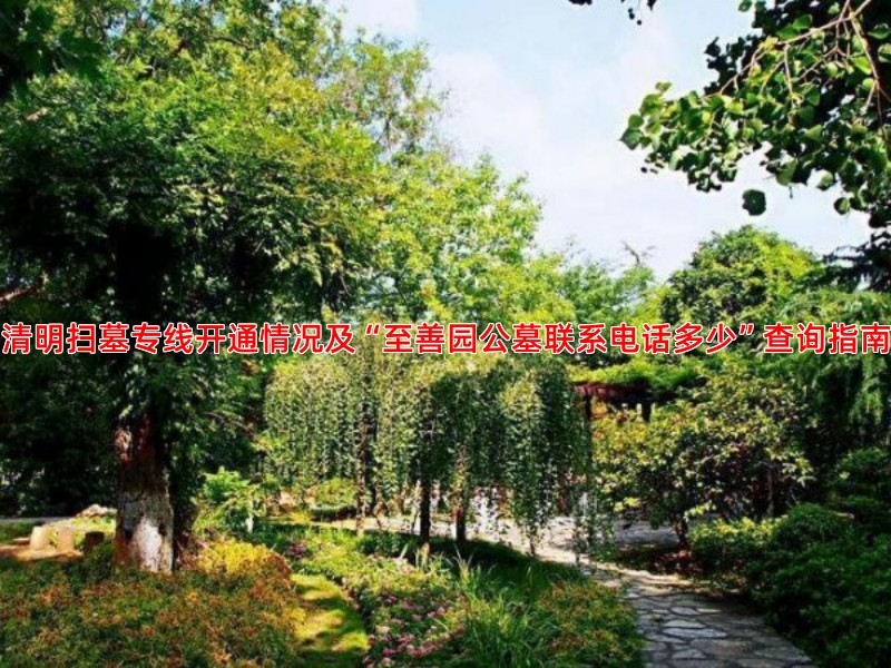 清明扫墓专线开通情况及“至善园公墓联系电话多少”查询指南