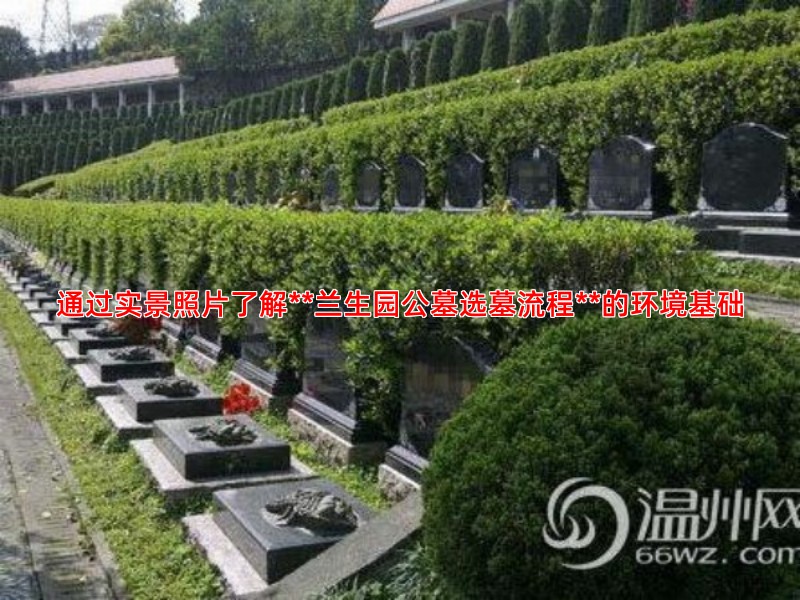 通过实景照片了解**兰生园公墓选墓流程**的环境基础