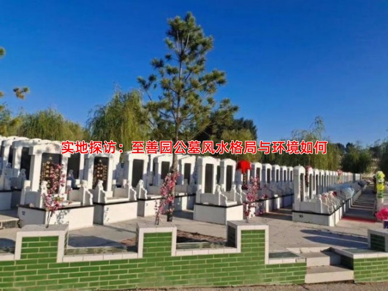实地探访：至善园公墓风水格局与环境如何