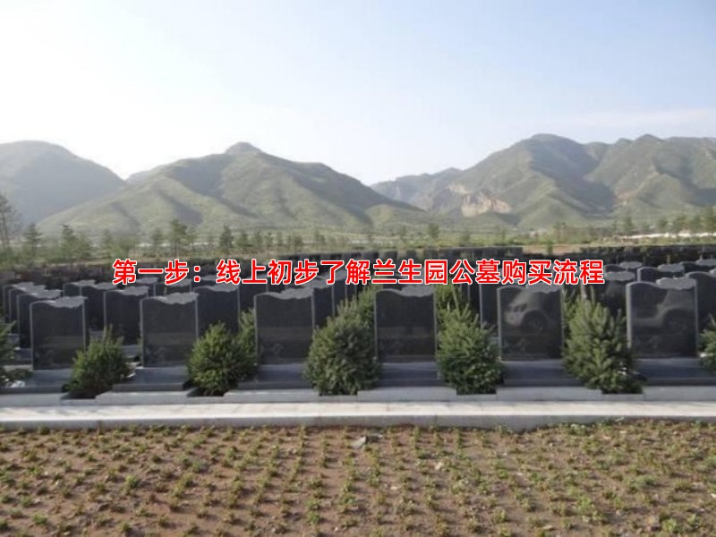 第一步：线上初步了解兰生园公墓购买流程