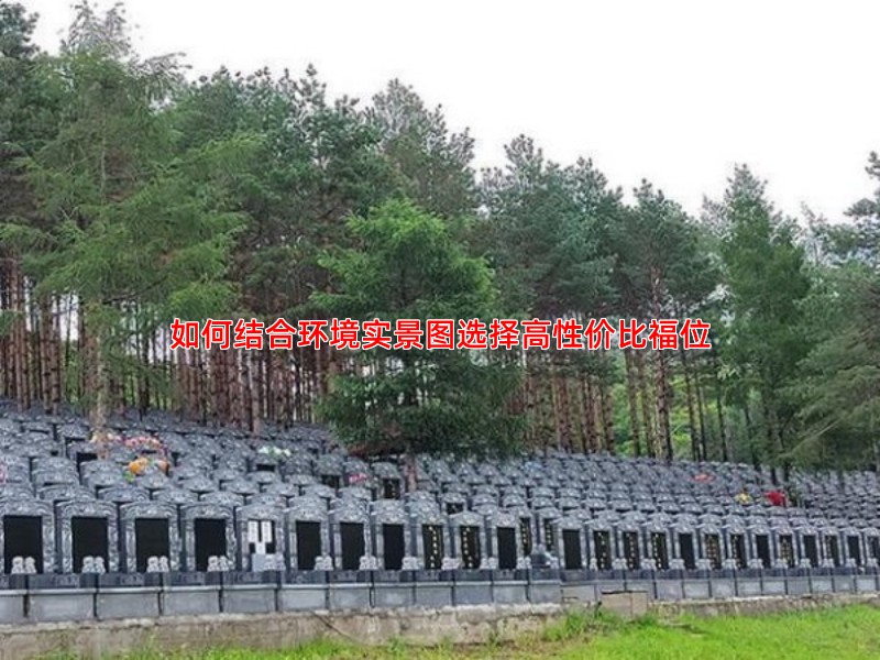 如何结合环境实景图选择高性价比福位