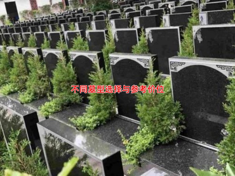 不同墓型选择与参考价位