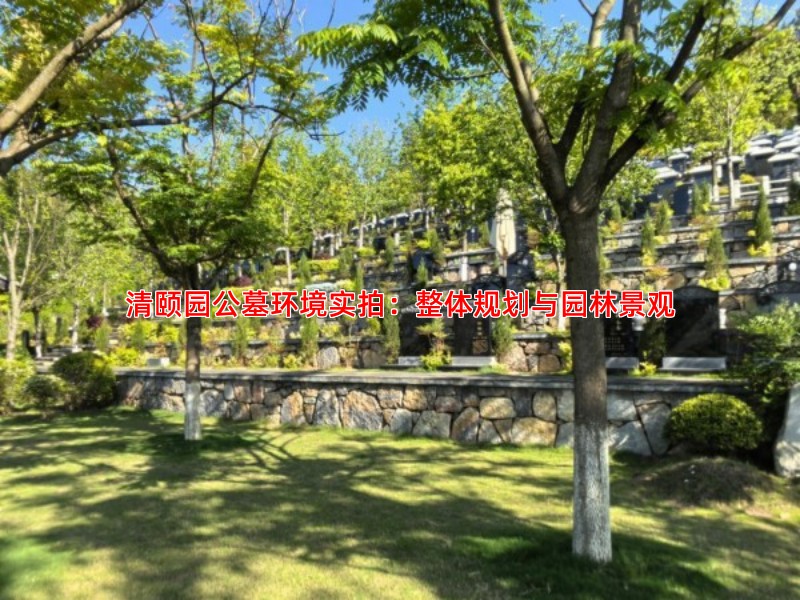 清颐园公墓环境实拍：整体规划与园林景观