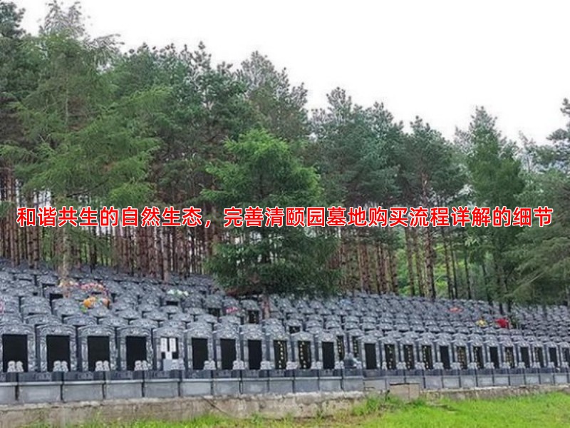 和谐共生的自然生态，完善清颐园墓地购买流程详解的细节