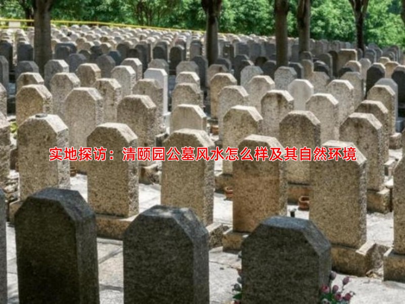 实地探访：清颐园公墓风水怎么样及其自然环境