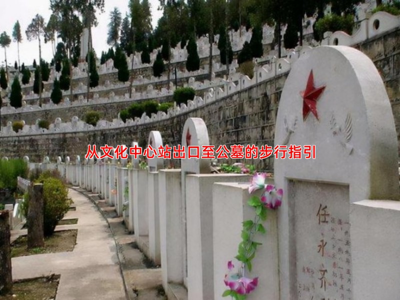 从文化中心站出口至公墓的步行指引