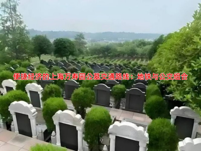 前往上海万寿园的公共交通路线有哪些选择