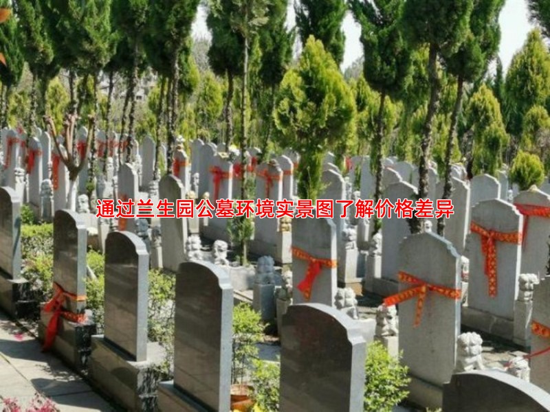 通过兰生园公墓环境实景图了解价格差异
